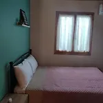 Politis' Wooden House Apartament
