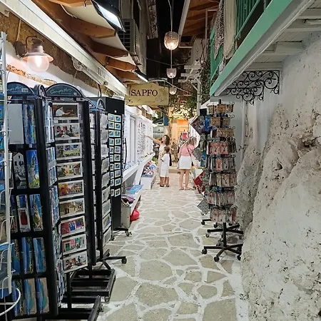 Politis' Wooden House Vasiliki