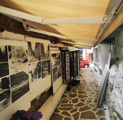 Politis' Wooden House